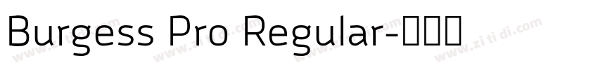 Burgess Pro Regular字体转换